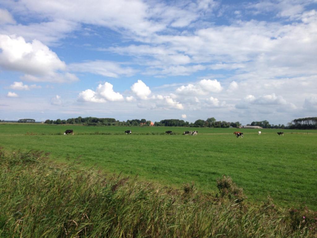 Lutje Hoeske Tinallinge ภายนอก รูปภาพ